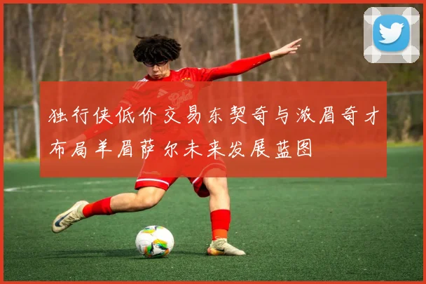 独行侠低价交易东契奇与浓眉奇才布局羊眉萨尔未来发展蓝图